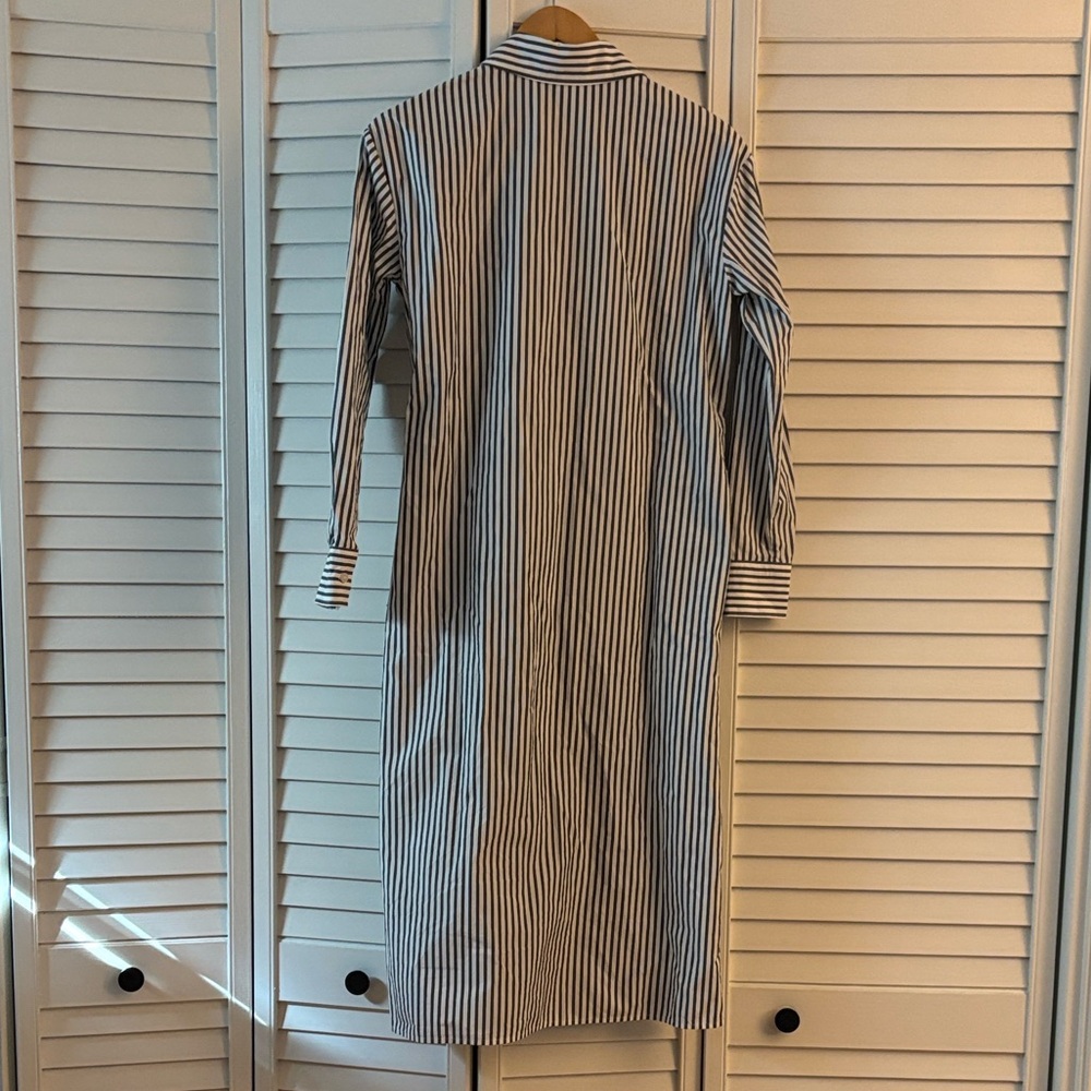 Everlane Supima Cotton Midi Collared Shirt Dress - Picture 4 of 4